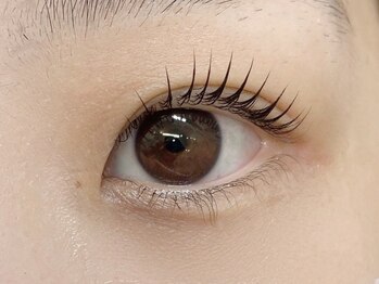 シュシュ &nbsp;恵比寿(#chouchou)/オーダーメイドまつげパーマ