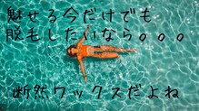 ビーデル(Wieder)