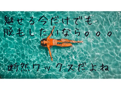 ビーデル(Wieder)の写真