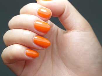 ネイルック(Nailook)/