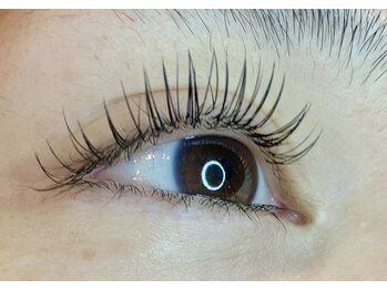 レミア 関内(REMIA)/9月　フラットラッシュ100本