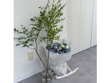 ネム(NEM.)の雰囲気（店内は心地よい雰囲気で、観葉植物が癒しを与えてくれます。）