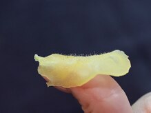 テトテ(TETOTE)