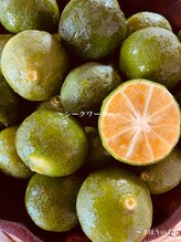 まほうの手/シークヮーサードリンク