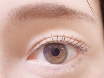 ノブレス 赤坂店(Noblesse)の写真