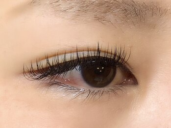 バモス(Vamos)/セーブル 付け放題