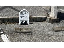 ダグネイル 宇都宮店(Dugh nail)の雰囲気（駐車場店舗より徒歩２分簗瀬3丁目32-10の向側駐車場1.10.11番）