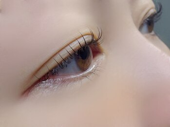 ブローマ(BROOMA)/まつ毛パーマ/マツパ