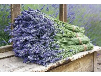 ルミエール(lumiere)の写真