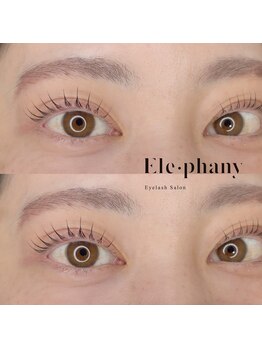 エレファニー(Ele phany)/まつ毛パーマ