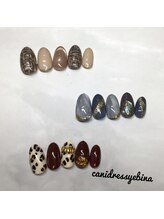 キャンアイドレッシー 海老名/定額ネイル　プラチナ