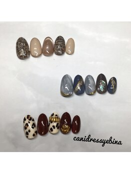キャンアイドレッシー 海老名/定額ネイル　プラチナ