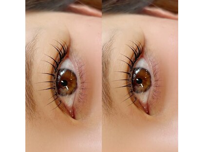 アトレミミ(attrait mimi)の写真