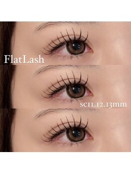 フリルビューティー(Frill beauty)/フラットラッシュ