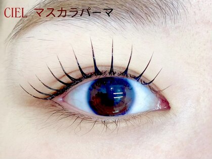 シエル(CIEL)の写真