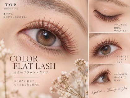 トップ(TOP)の写真