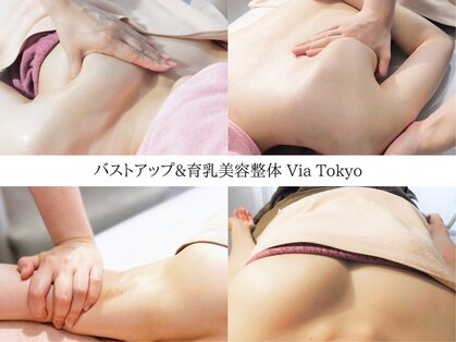ヴィア 五反田(Via)の写真