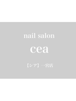 シンプル系（オフィス・日常）が得意