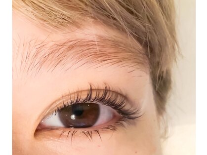 ソナーアイ(SONAR eye)の写真