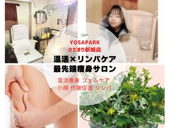 ヨサパーク ひだまり 新城店(YOSA PARK)