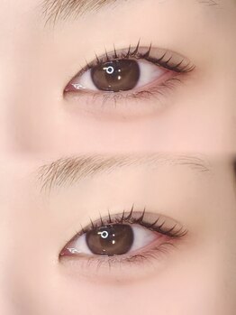 ロアブロウ 高知(LOA-brow)/ミックスデザイン