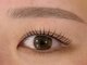 ゾーイ(Zoe)の写真/《理想の目元を叶える》次世代まつパ×眉毛Waxセットが人気！丁寧なカウンセリングで似合わせデザインに♪