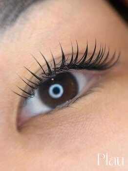 プラウ(Plau)/フラットラッシュ