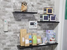 フェスティーナレンテ(Festina lente)/店内販売品