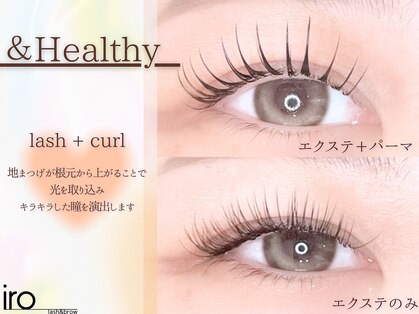 イロ(iro)の写真