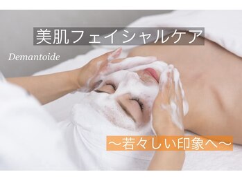 デマントイド(Demantoide&Co)/クリーミー泡洗顔