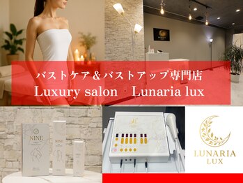 ルナリア ルクス 志木南口駅前店/バストケア＆バストアップ