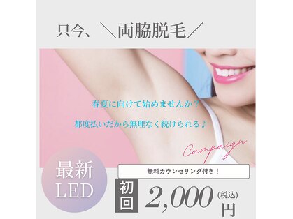 やどかりの写真