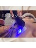 【モチ1.5～2倍】LEDフラットラッシュ120本￥7500(以降20本追加毎+500円)