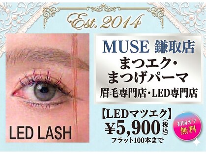 ミューズ 鎌取店(MUSE)の写真