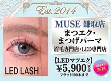 ミューズ 鎌取店(MUSE)