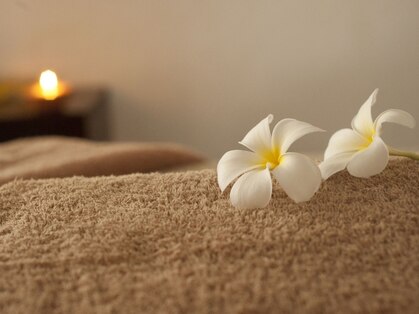 レミー 銀座(Remy)の写真