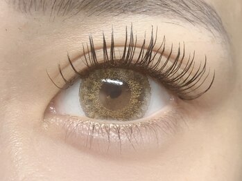 プリンセス(Princess)/フラットラッシュ / 120本