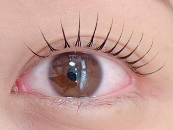ジェニーバイネオリーブ(Jeni by neolive)の写真/◆期間限定価格まつ毛パーマ¥3500~◆上下まつ毛パーマ/ラッシュリフト/パリジェンヌラッシュリフト