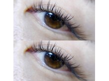 LEDはフラットラッシュとボリュームラッシュのお取り扱い◎