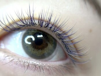 ディート(dito)の写真/今や《カラエク》はトレンド!マツエクでメイクもヨレ知らず◎豊富なカラーでオシャレに目元コーディネート!
