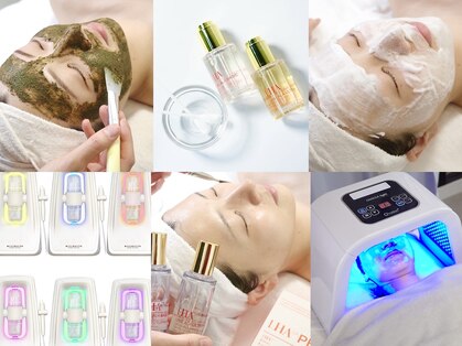 ハウピア 烏丸(Haupia)の写真