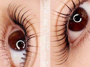 ロンロンビューティークリエイト(RONRON Beauty Create)/上下次世代まつげパーマ