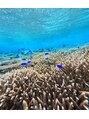 サロン マロウ(SALON Marrow) 旅行が好きです。こちら石垣島でのシュノーケリング。