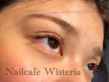 ウィステリア(Wisteria)/抗菌セーブル80本コース