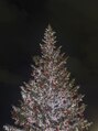 シピアイラッシュ 川越店(Chipi Eyelash) クリスマスの雰囲気が大好きで1年中待ち遠しいです、笑