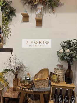 セブンフォリオ(7FORIO)/ドライフラワーが増えてきました