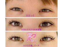 アール(R)/エクパーマ