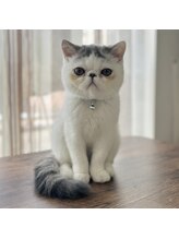 アイアンドネイル ブライト(bright)&nbsp;saori 