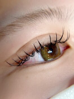 ダリア 大宮店(DAHLIA)/シングルラッシュ