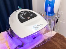 アスター(Aster)/